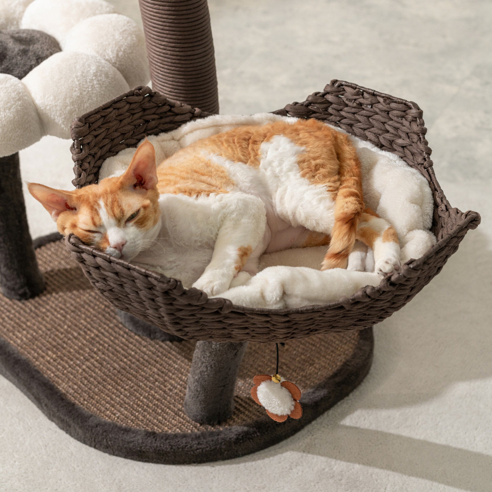 Basket cat on sale