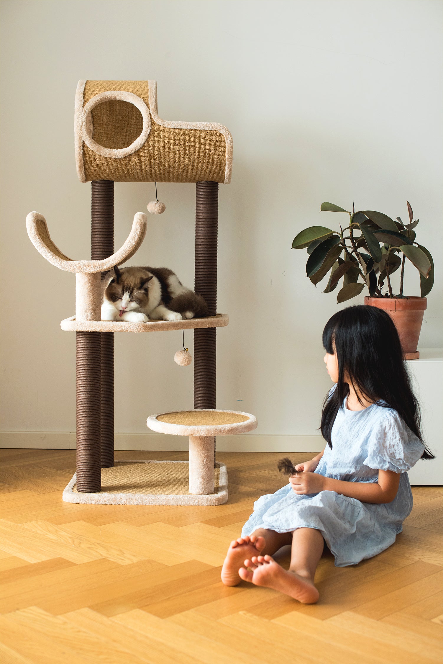 CATRY Cat Trees Cat Towers Cat Condos Scratchers Clearance Catry International Group Inc