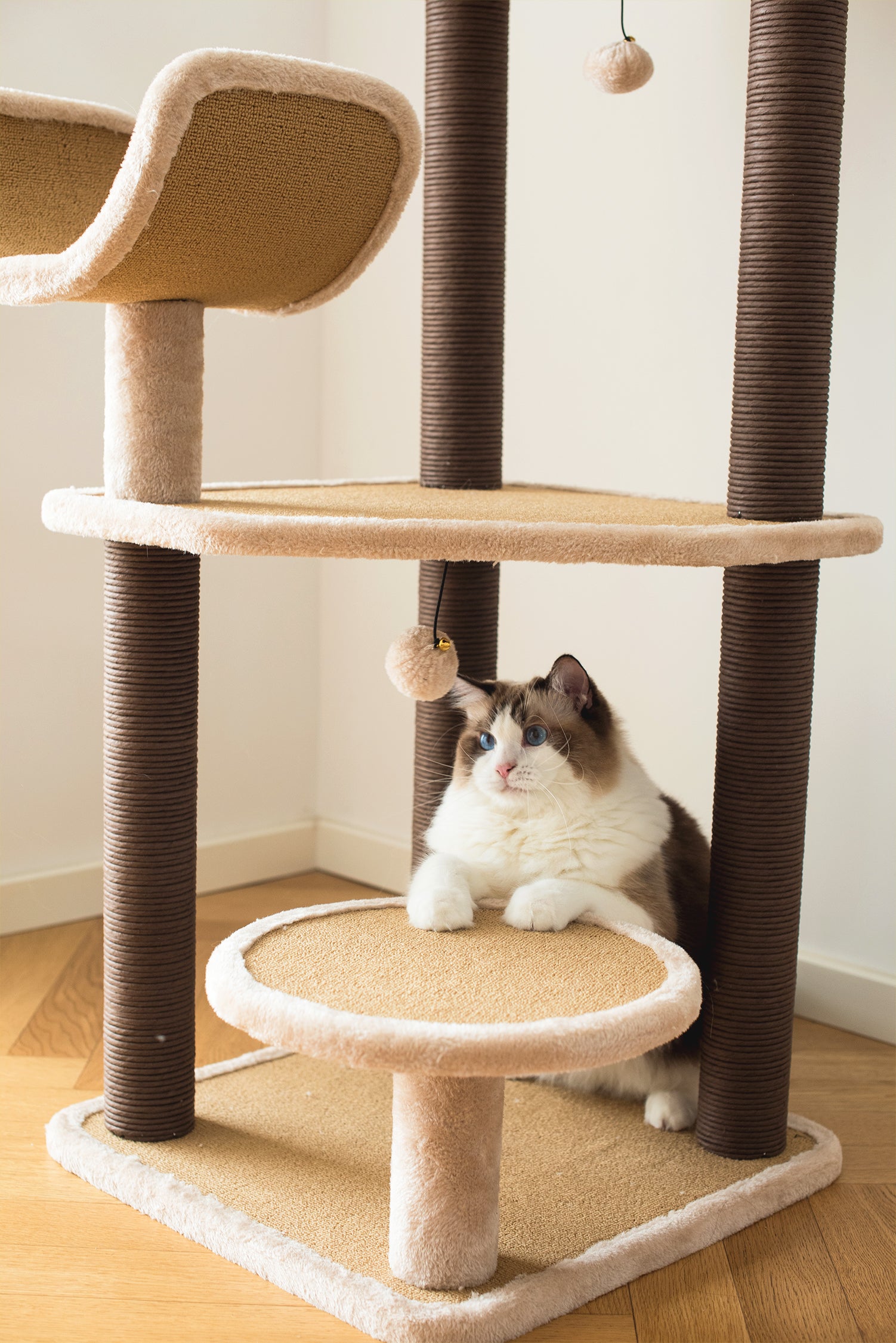 7 level 2024 cat tree