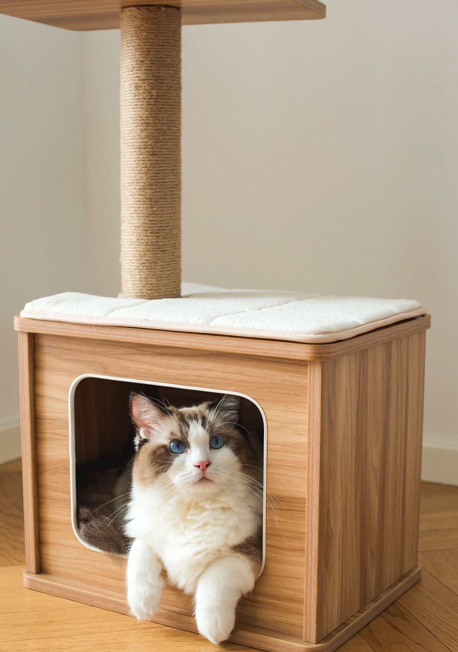 Vesper cubo hotsell cat tower