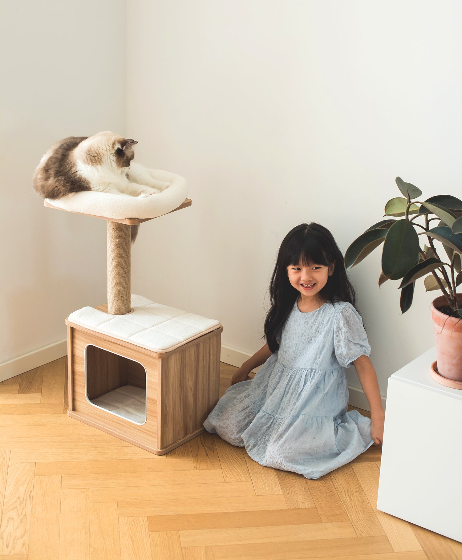 Catry Cedar- Minimalist Cat Condo & Perch – Catry International