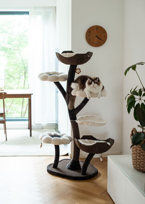 Inside hotsell cat tree